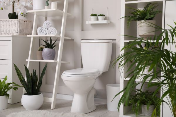 Cost of Toilet Repair in Glendale