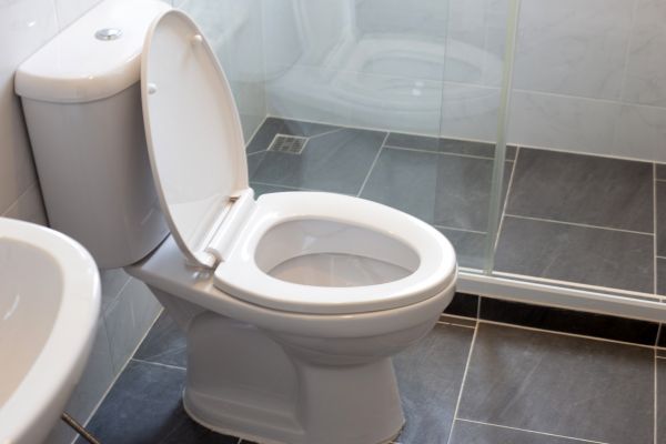 Toilet Replacement in Glendale