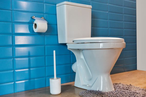 Cost of Toilet Tank Repair in Glendale