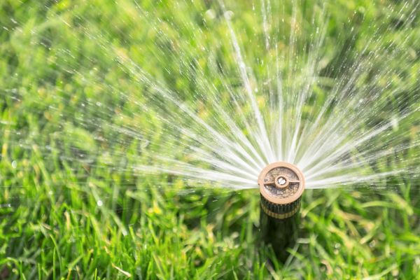 Spigot Installation in Glendale