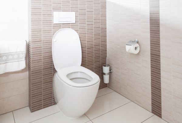 Cost of Toilet Plumbing Installation in Glendale